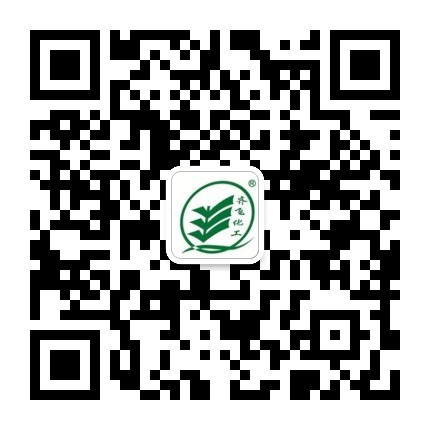 快色视频污污污